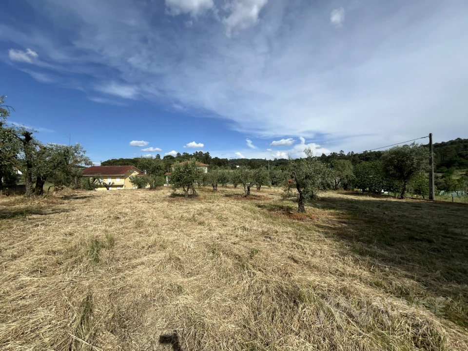 Terreno para Venda em Silgueiros Foto 16