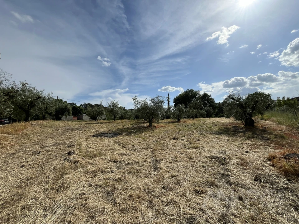 Terreno para Venda em Silgueiros Foto 6