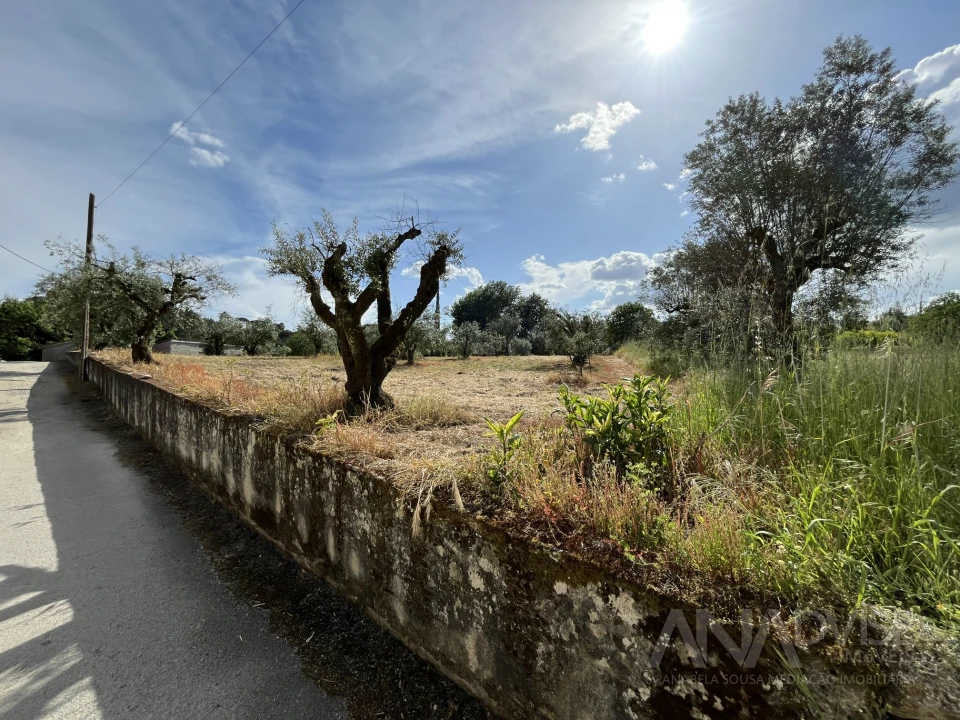 Terreno para Venda em Silgueiros Foto 4