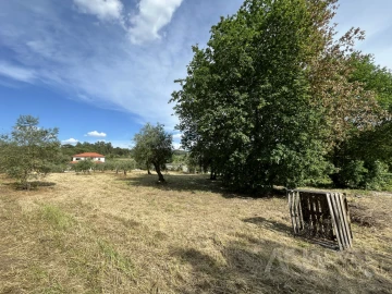 Terreno para Venda em Silgueiros