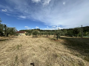Terreno para Venda em Silgueiros