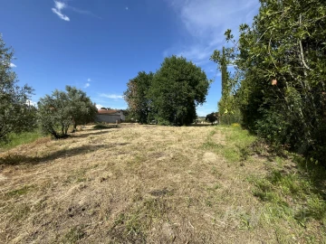 Terreno para Venda em Silgueiros