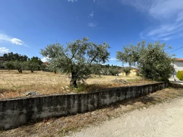 Terreno para Venda em Silgueiros