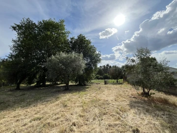 Terreno para Venda em Silgueiros