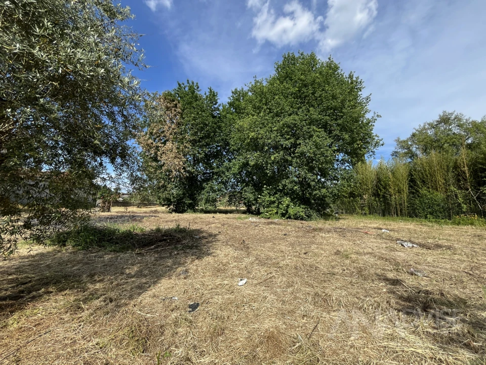 Terreno para Venda em Silgueiros Foto 13