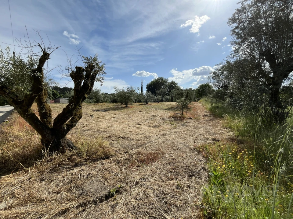 Terreno para Venda em Silgueiros Foto 5