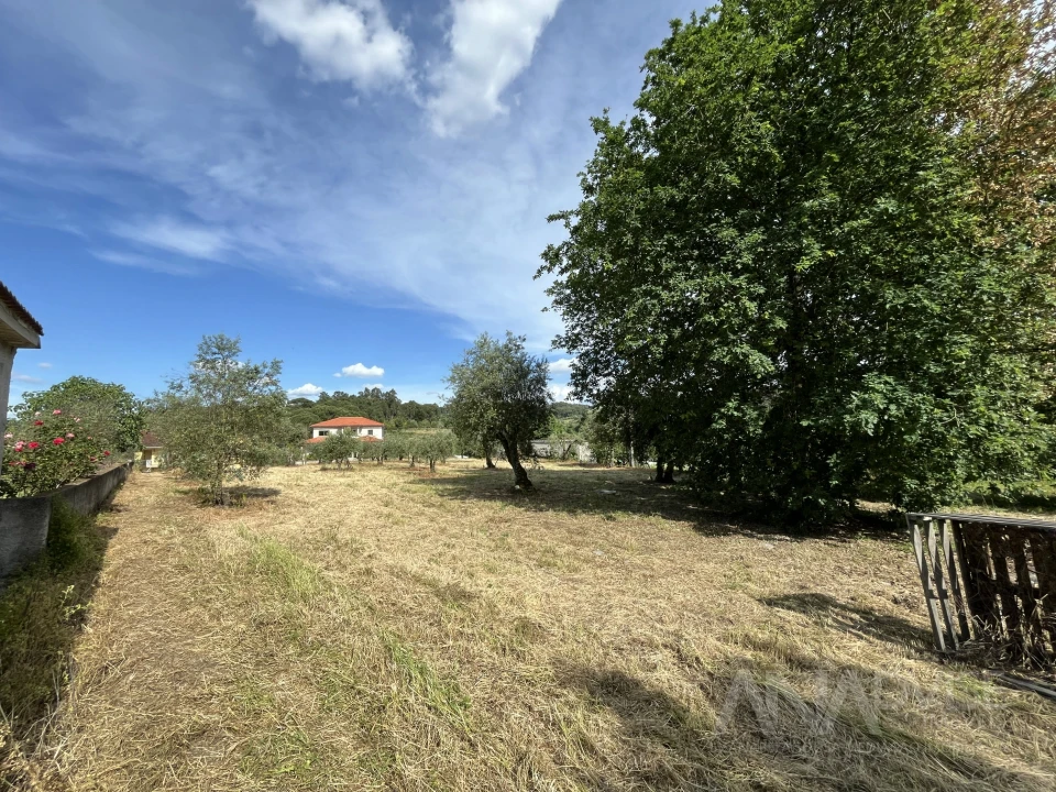Terreno para Venda em Silgueiros Foto 15