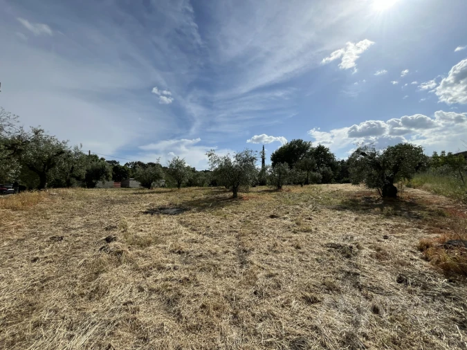 Terreno para Venda em Silgueiros Foto 6