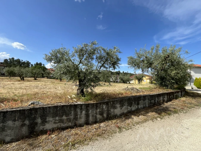 Terreno para Venda em Silgueiros Foto 20