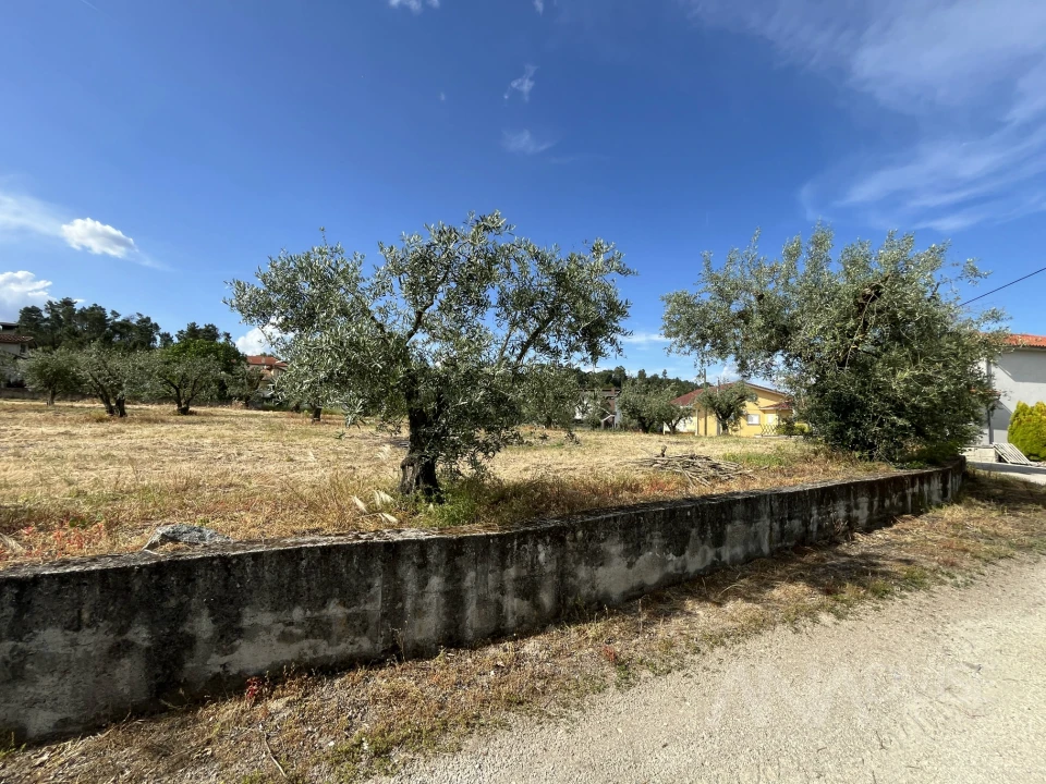 Terreno para Venda em Silgueiros Foto 20