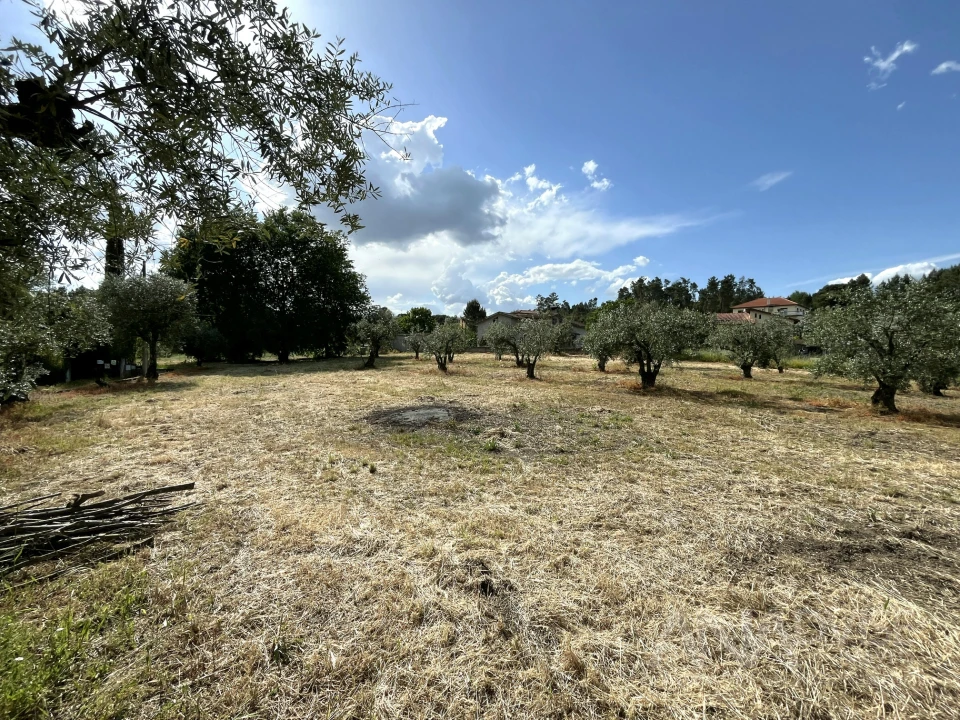 Terreno para Venda em Silgueiros Foto 7