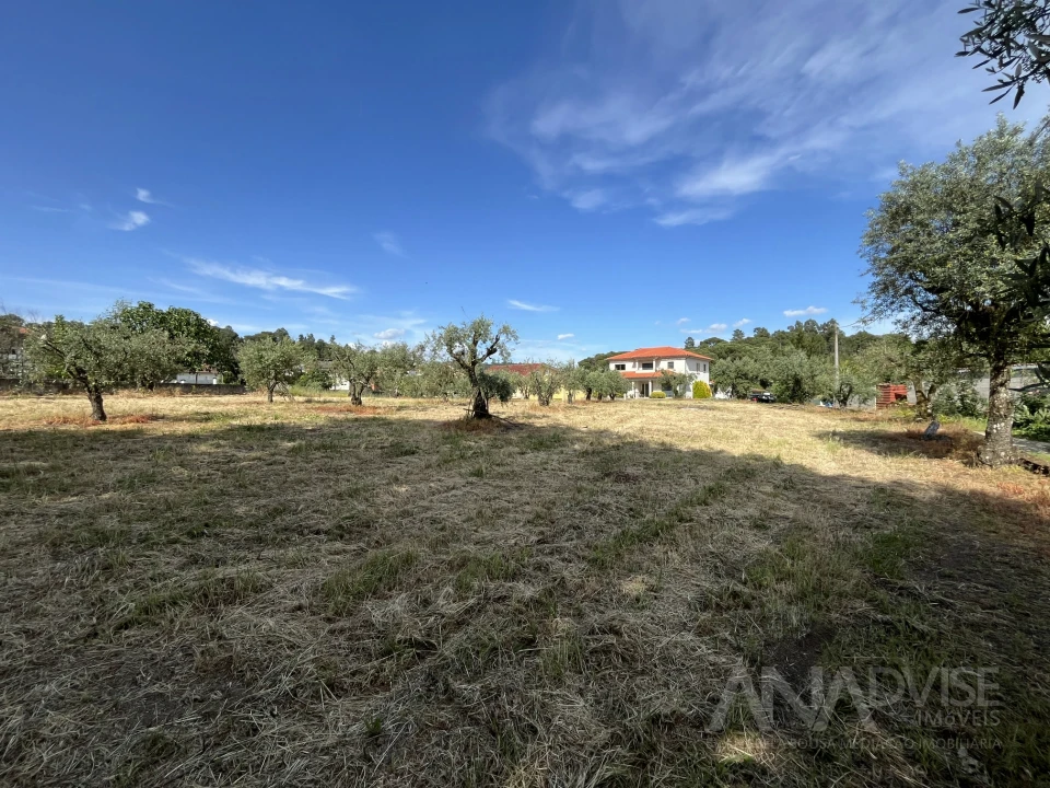Terreno para Venda em Silgueiros Foto 1