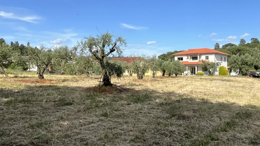 Terreno para Venda em Silgueiros