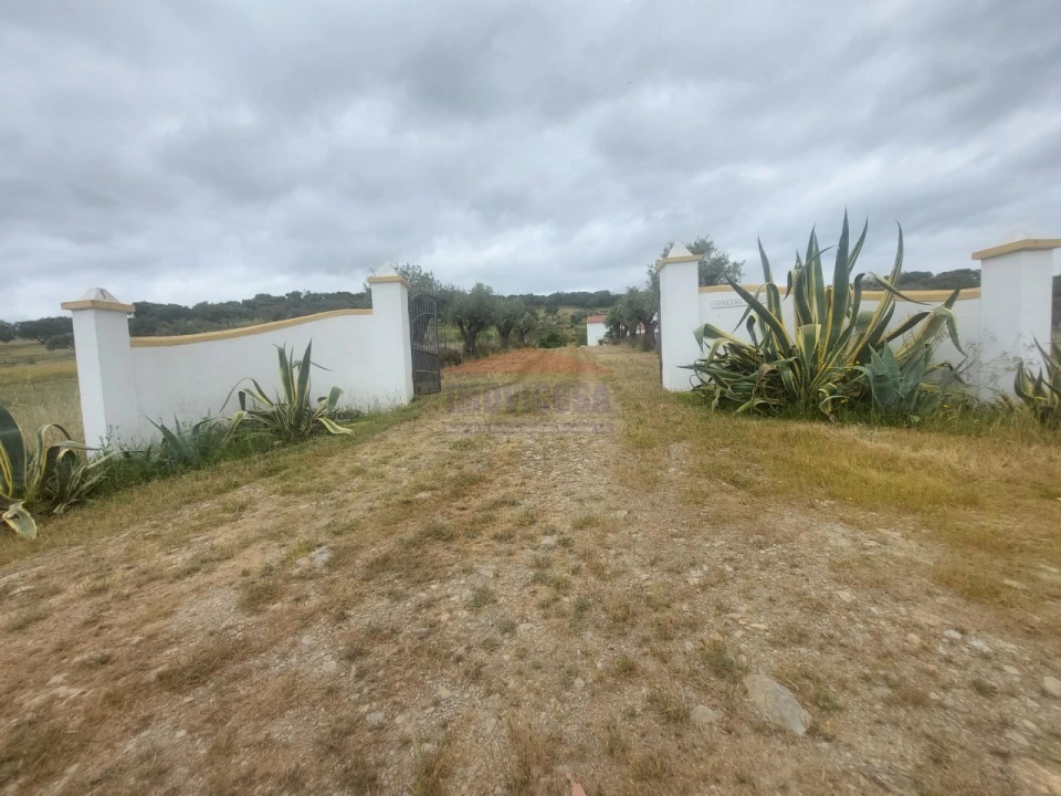 Quinta T3 para Venda em Terena (São Pedro) Foto 5