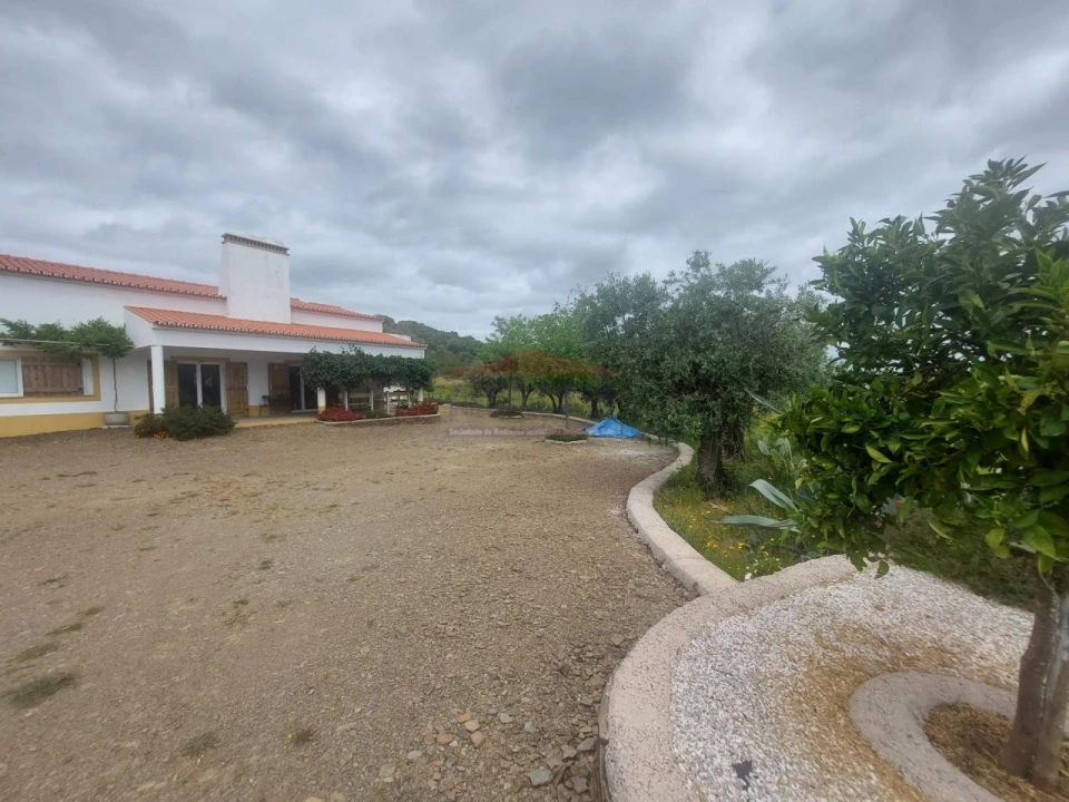 Quinta T3 para Venda em Terena (São Pedro) Foto 8
