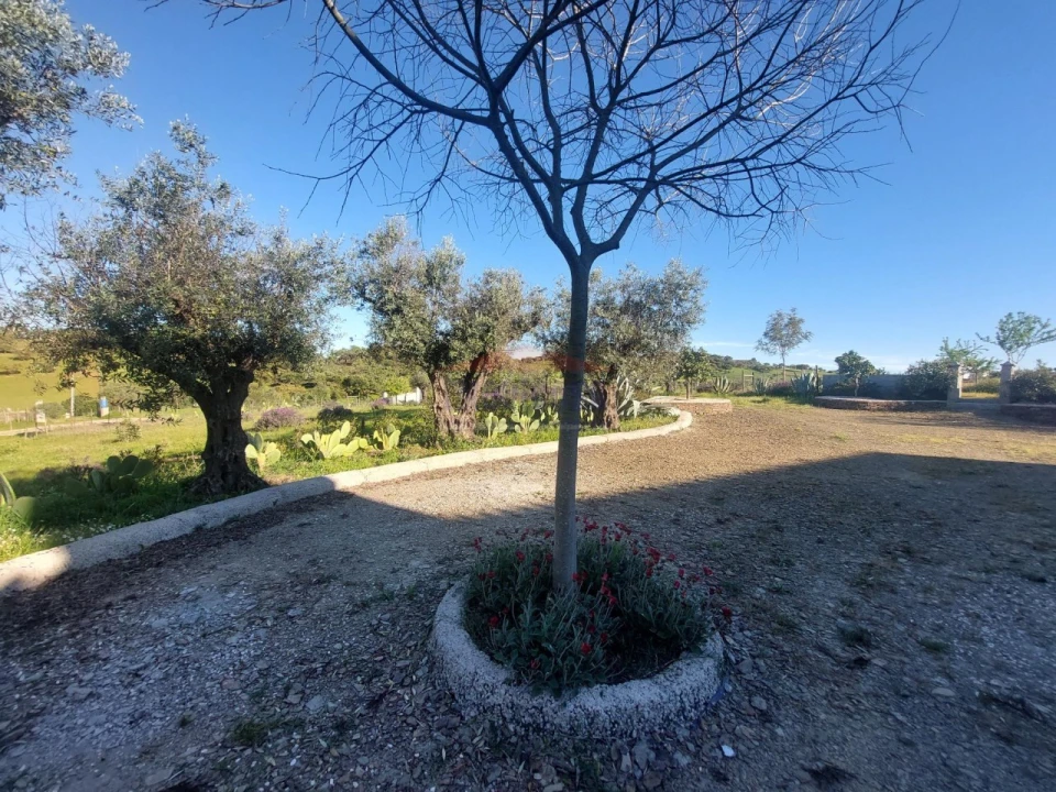 Quinta T3 para Venda em Terena (São Pedro) Foto 2
