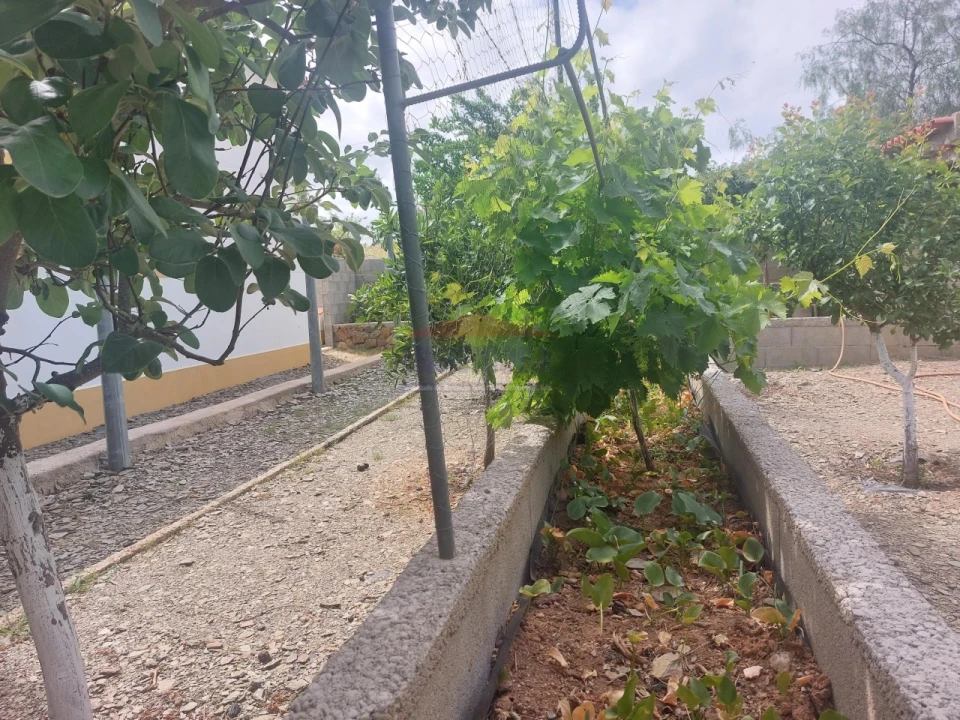 Quinta T3 para Venda em Terena (São Pedro) Foto 33