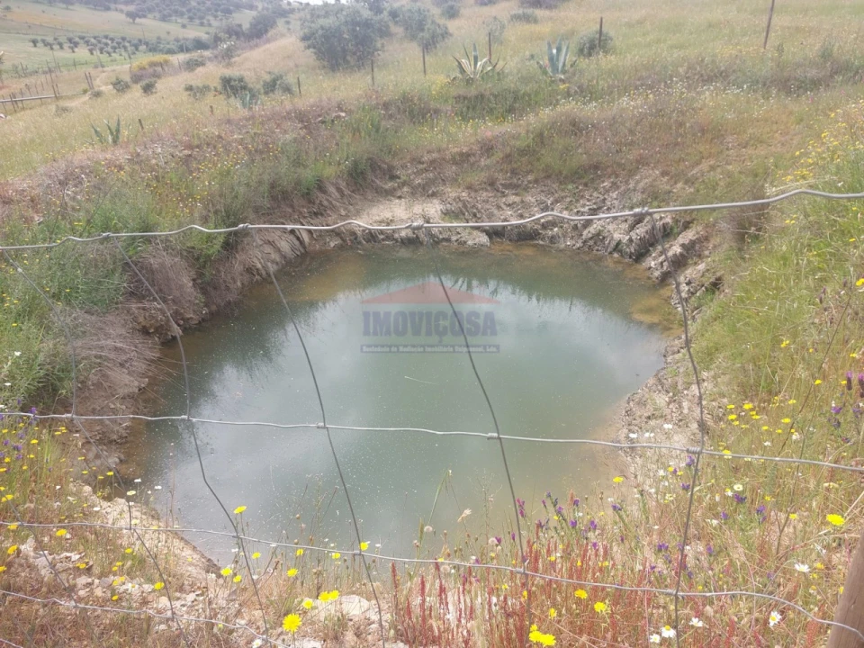 Quinta T3 para Venda em Terena (São Pedro) Foto 34