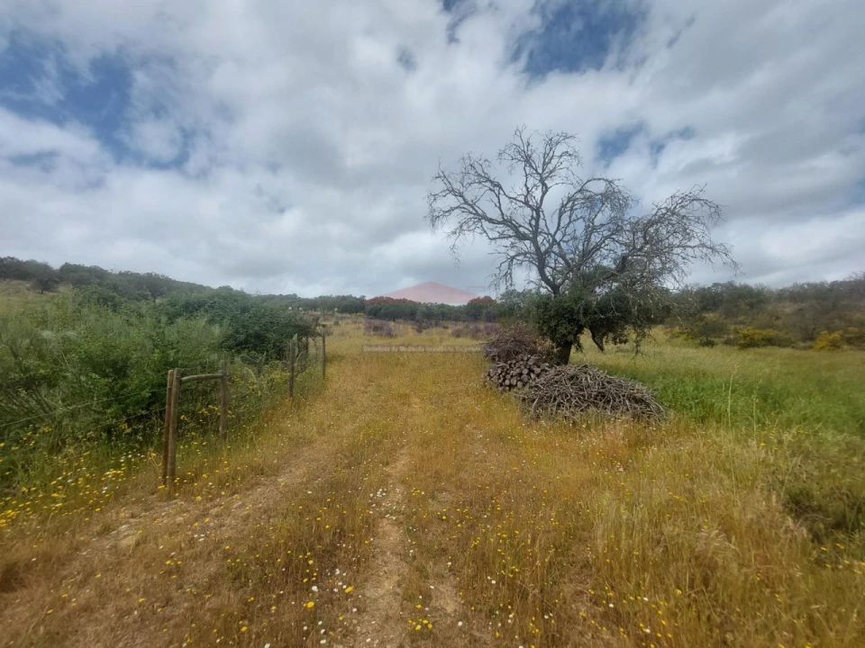 Quinta T3 para Venda em Terena (São Pedro) Foto 35