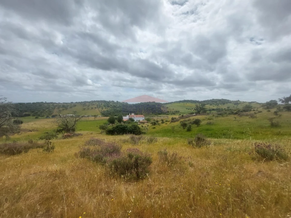 Quinta T3 para Venda em Terena (São Pedro) Foto 37