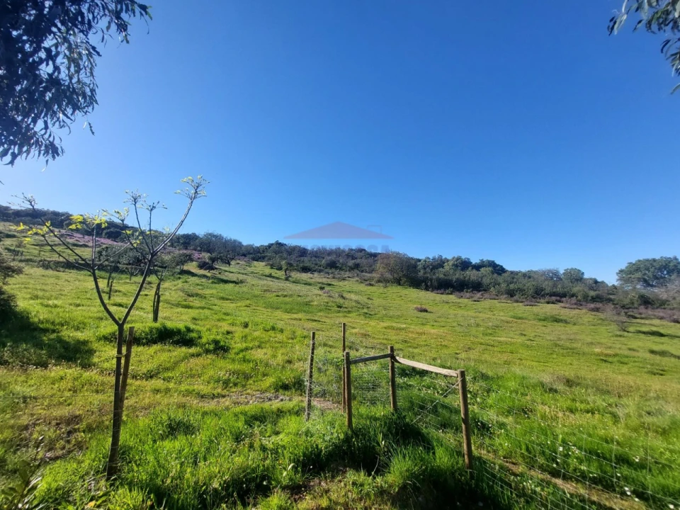 Quinta T3 para Venda em Terena (São Pedro) Foto 41