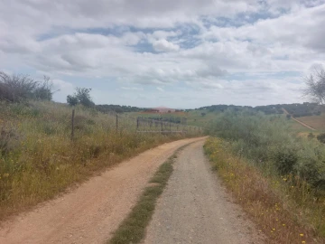 Quinta T3 para Venda em Terena (São Pedro)