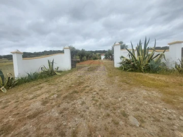 Quinta T3 para Venda em Terena (São Pedro)