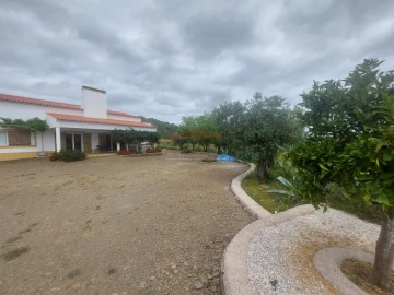 Quinta T3 para Venda em Terena (São Pedro)