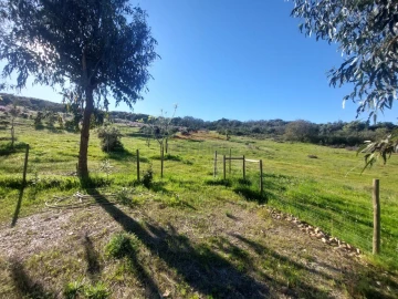 Quinta T3 para Venda em Terena (São Pedro)