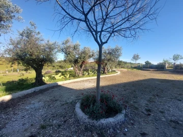 Quinta T3 para Venda em Terena (São Pedro)
