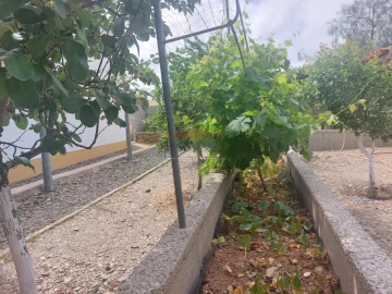 Quinta T3 para Venda em Terena (São Pedro)