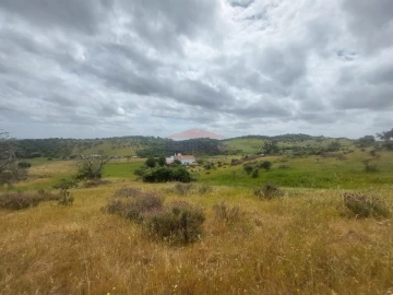 Quinta T3 para Venda em Terena (São Pedro)