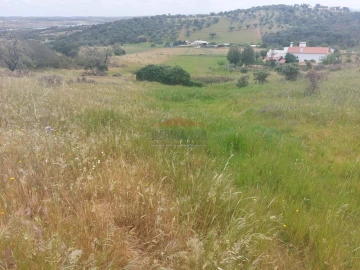 Quinta T3 para Venda em Terena (São Pedro)