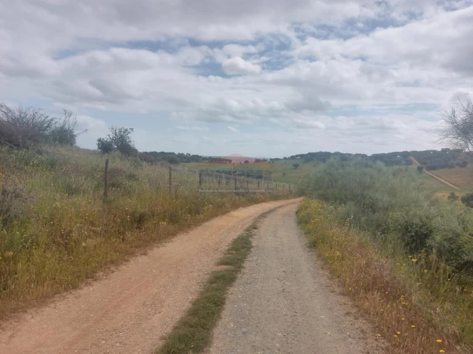 Quinta T3 para Venda em Terena (São Pedro) Foto 3
