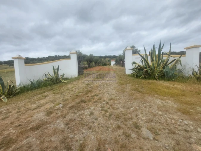 Quinta T3 para Venda em Terena (São Pedro) Foto 5