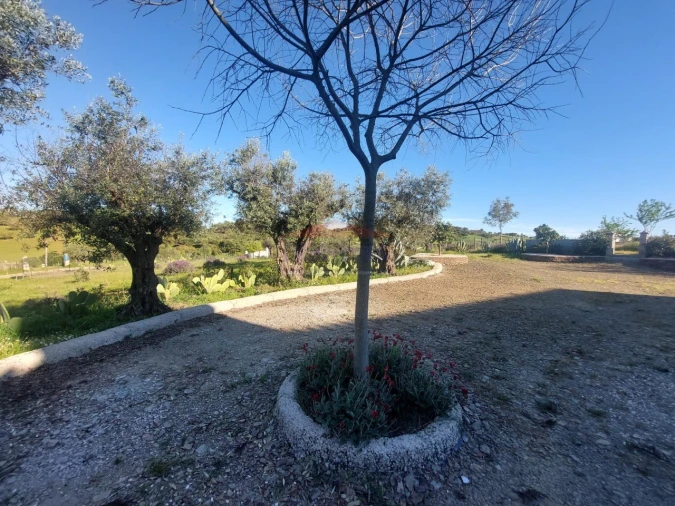 Quinta T3 para Venda em Terena (São Pedro) Foto 2