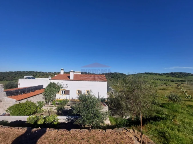 Quinta T3 para Venda em Terena (São Pedro) Foto 7