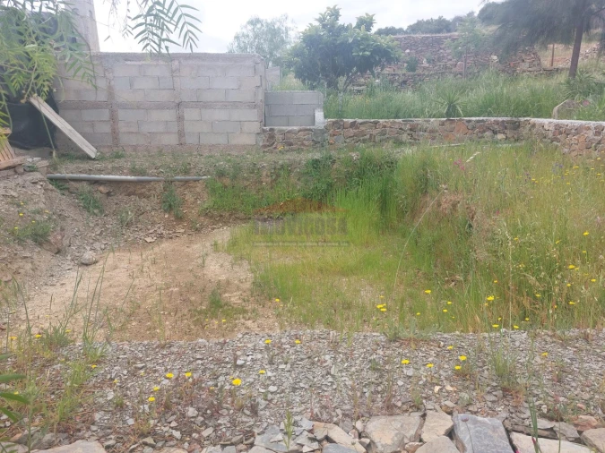 Quinta T3 para Venda em Terena (São Pedro) Foto 36