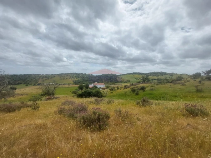 Quinta T3 para Venda em Terena (São Pedro) Foto 37