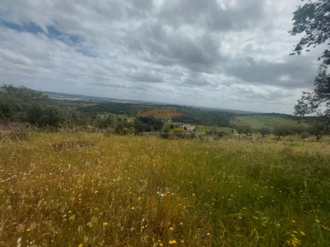 Quinta T3 para Venda em Terena (São Pedro) Foto 38