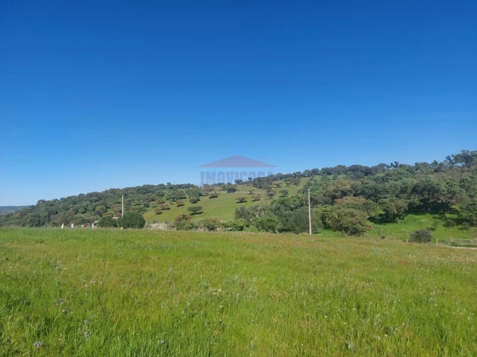 Quinta T3 para Venda em Terena (São Pedro) Foto 40