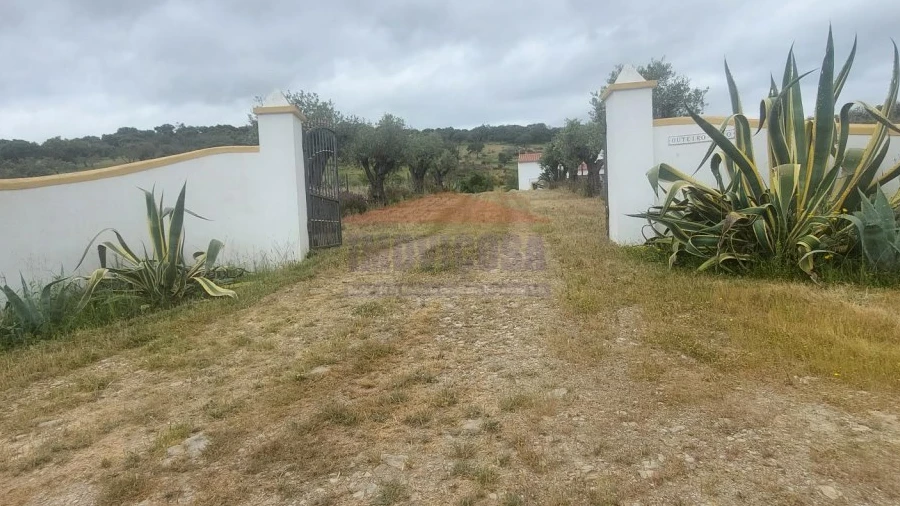 Quinta T3 para Venda em Terena (São Pedro)