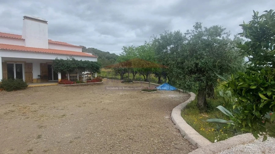Quinta T3 para Venda em Terena (São Pedro)