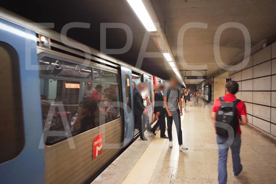 Negócio para Venda em Lumiar Foto 7