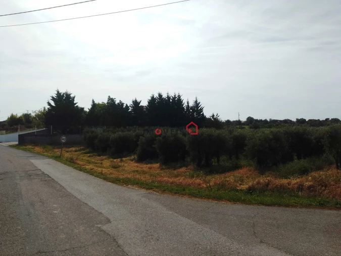 Terreno para Venda em Almoster Foto 10