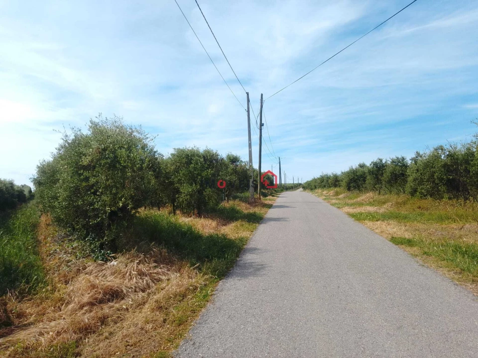 Terreno para Venda em Almoster Foto 3