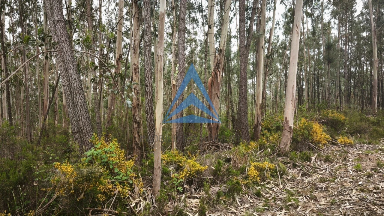 Terreno para Venda em Redinha Foto 2