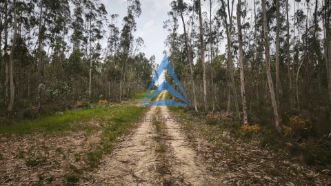 Terreno para Venda em Redinha