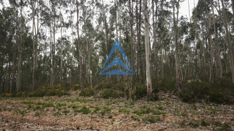 Terreno para Venda em Redinha