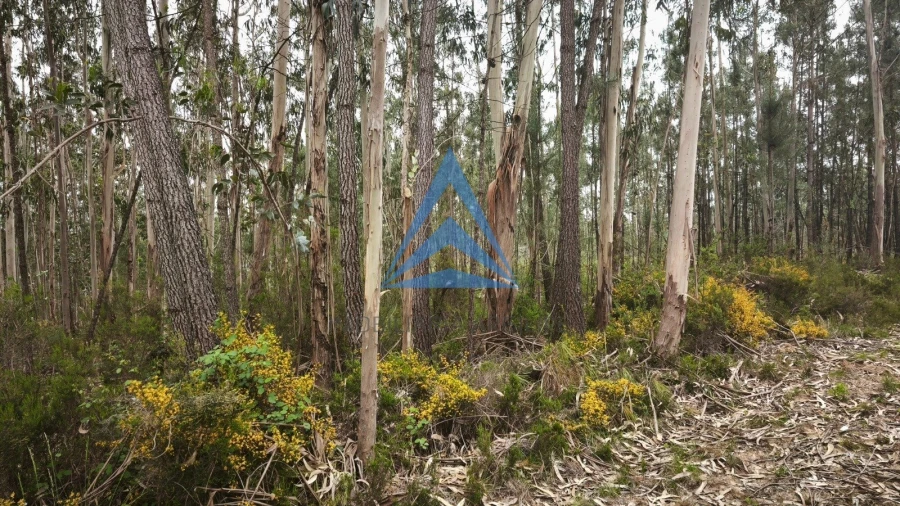 Terreno para Venda em Redinha Foto 2